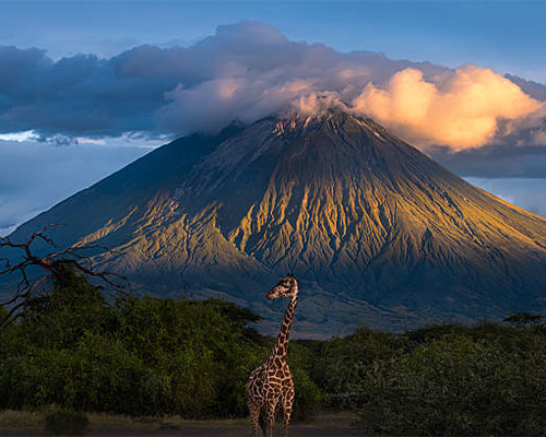 6 Days Machame