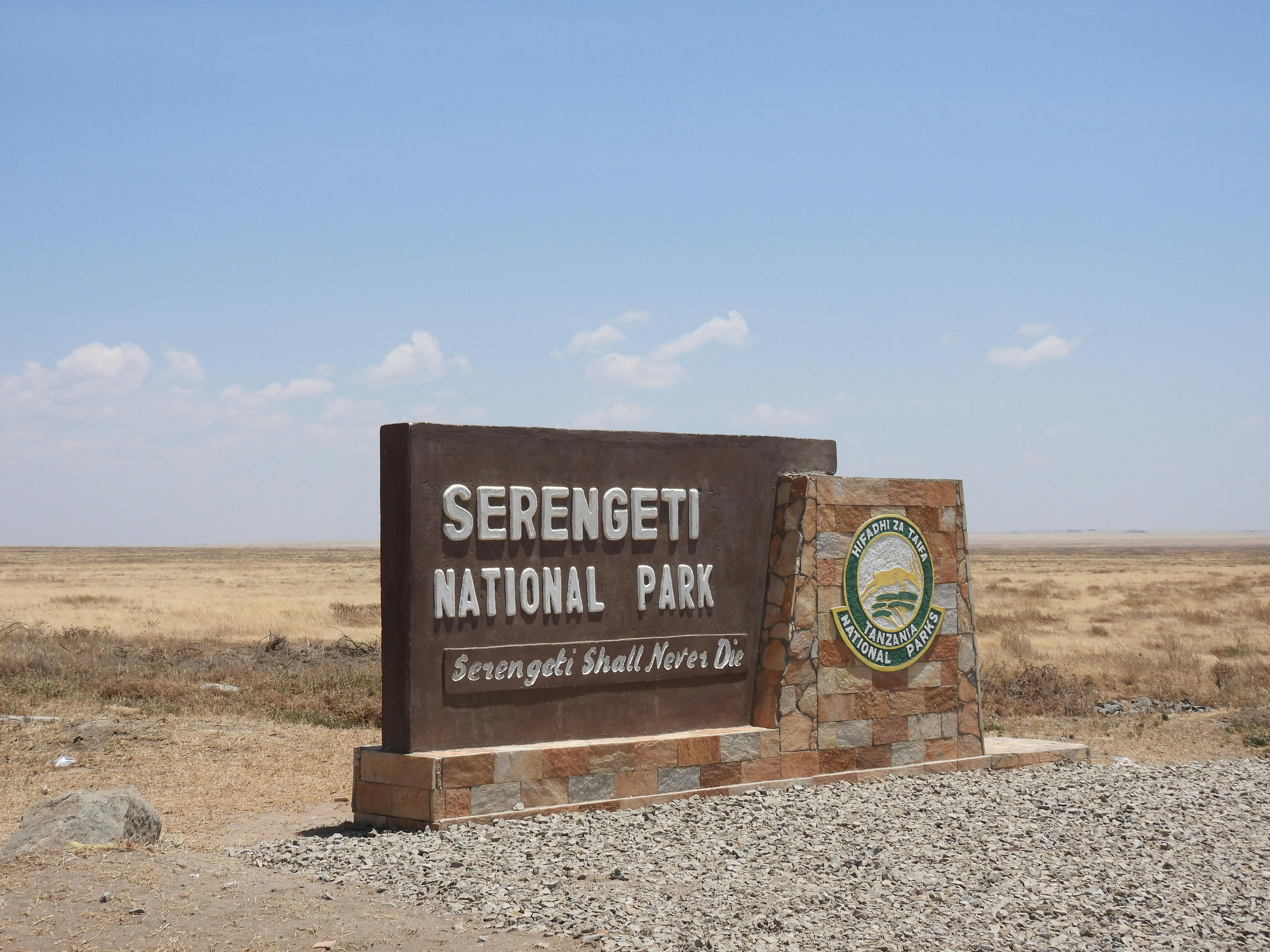 Serengeti Plains